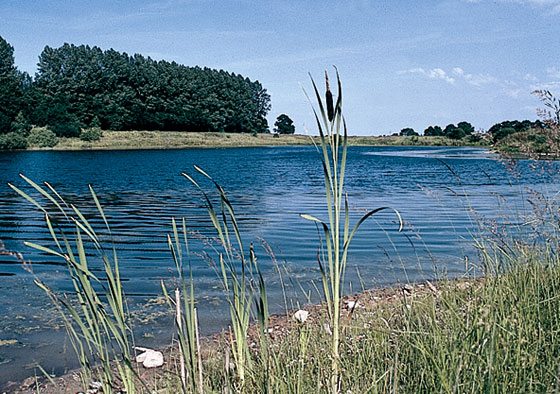 Керамика Винербергер