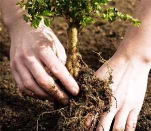 "Бъди оранжев - мисли зелено!"