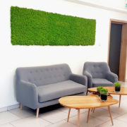 озеленяване