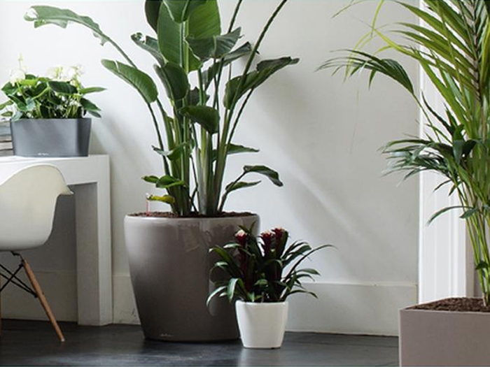 Много идеи и системи ни представят участниците в юбилейното 20-о издание на изложение Архитектурно-строителна седмица