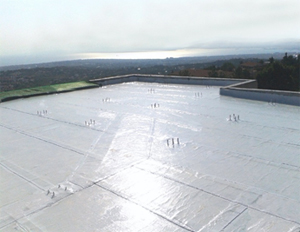 Хладните покриви на Esha