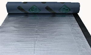 Хладните покриви на Esha