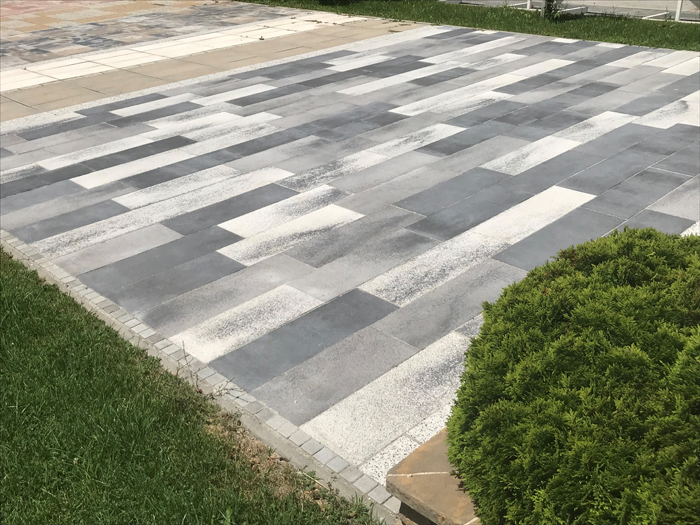 Еinstein_Semmelrock