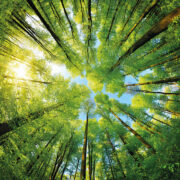 Ангажимент за борба с изменението на климата на Hörmann Hörmann