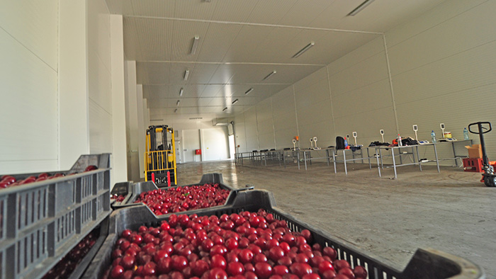 Метални халета