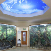 Първият в света леден експозиционен център ще бъде в Пловдив