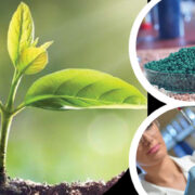 В Сърбия строят торов завод за 35 млн. евро завод