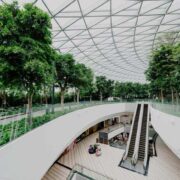 Среща между бетонната сила и живата природа