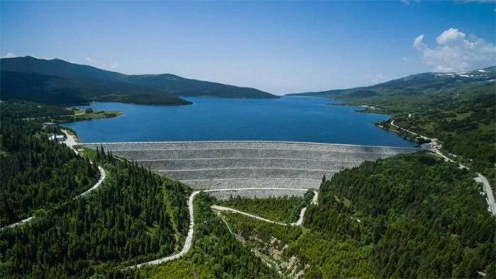 ПАВЕЦ