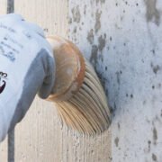 грунд Саparol