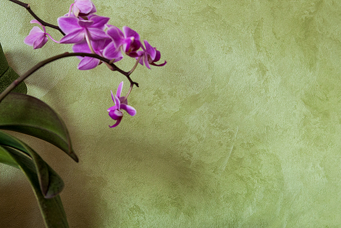 декоративни мазилки